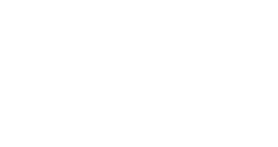 logo bnf