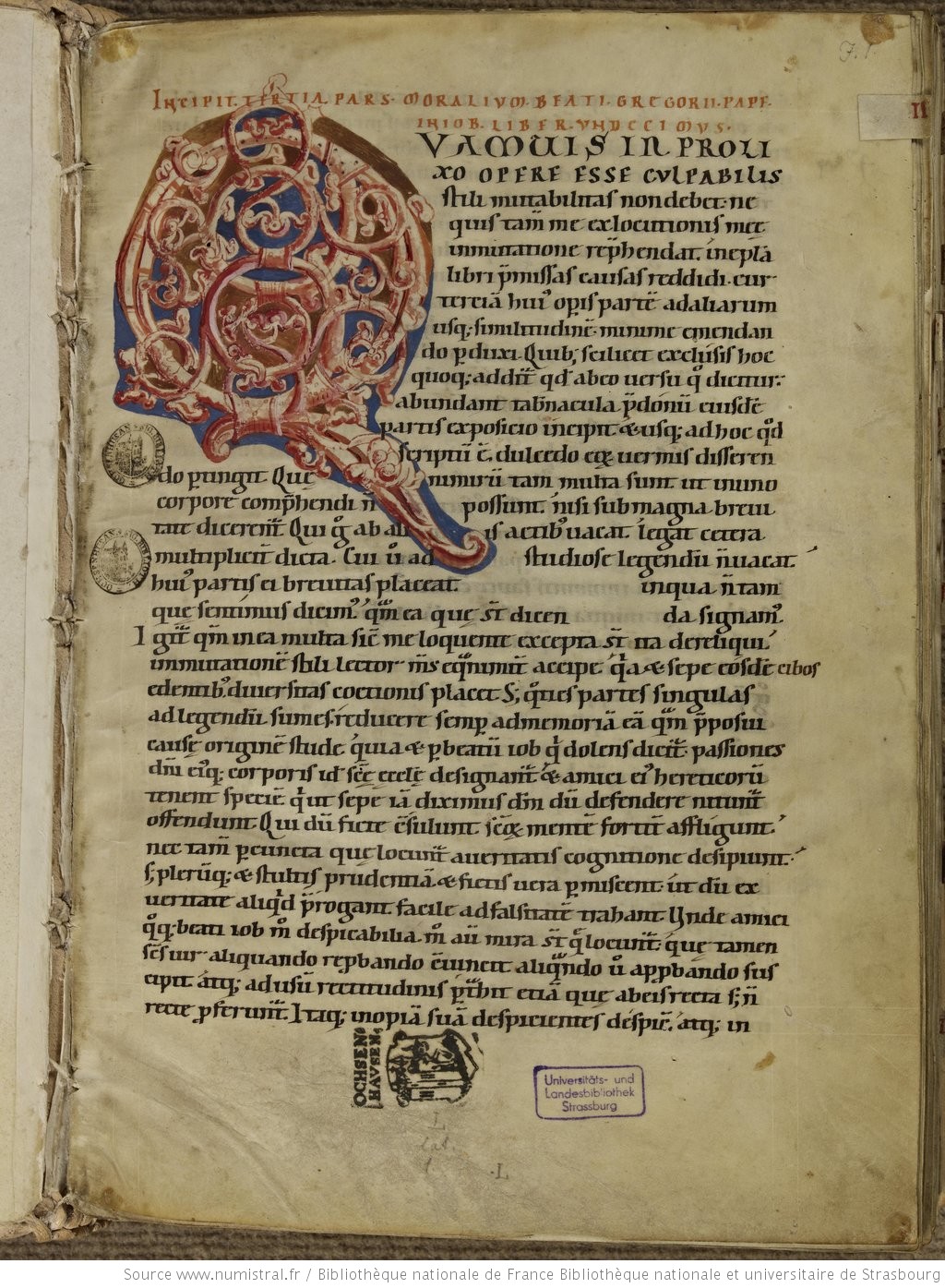 manuscrit Magni Moralium détail