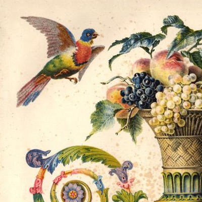 album chromolithographique, Engelmann