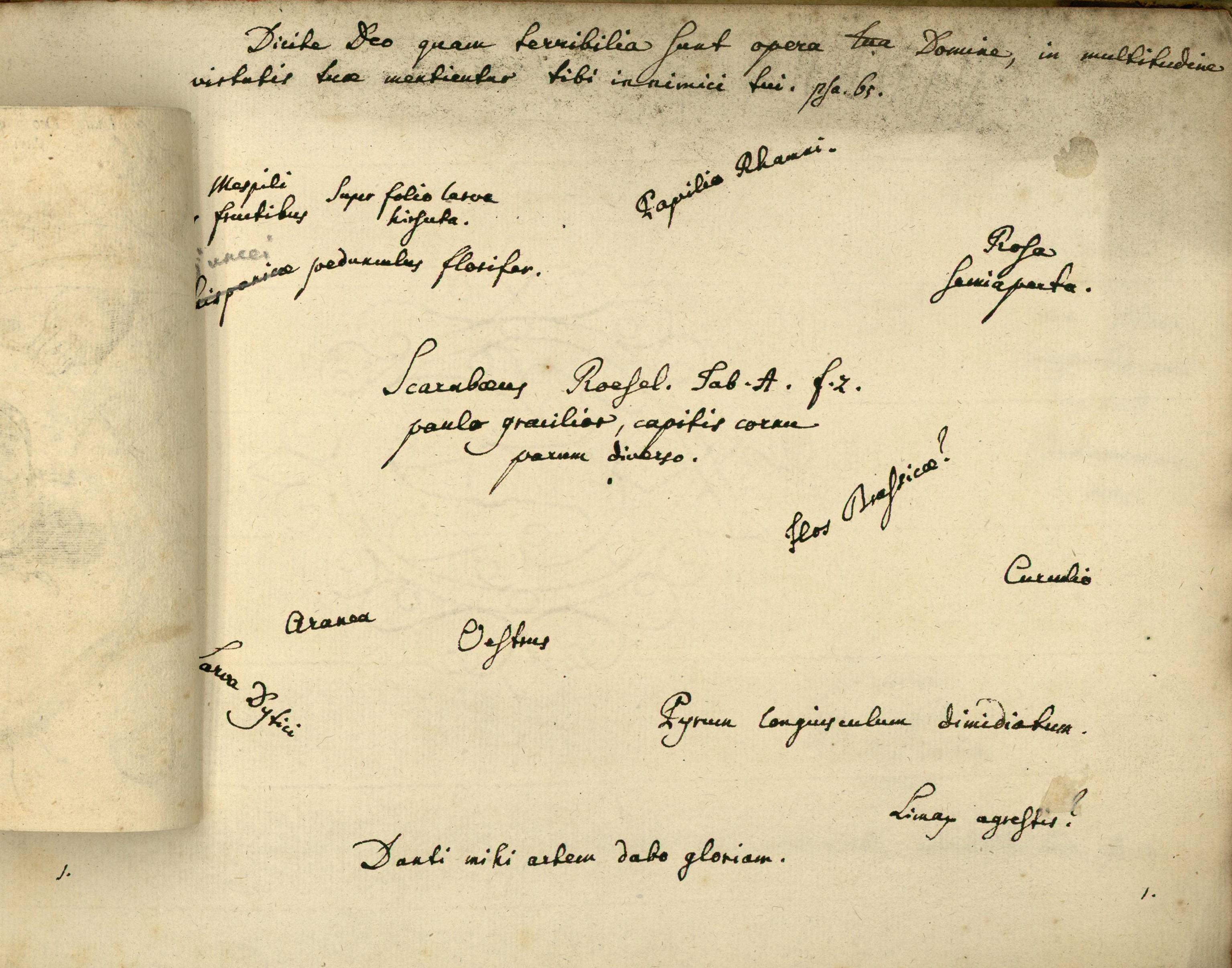 Notes manuscrites de Jean Hermann