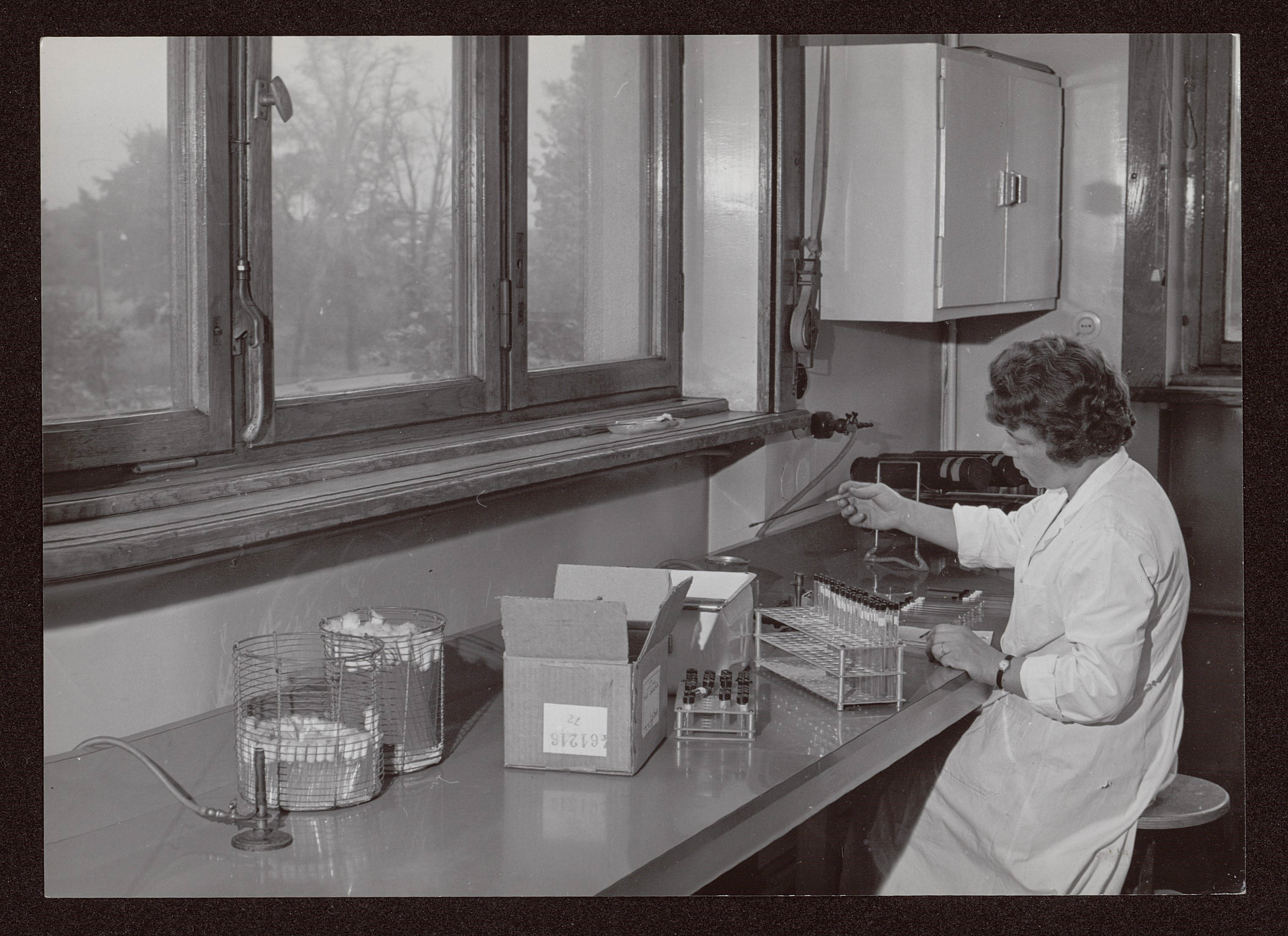 Section de biologie du CRM : photographie d'une chercheuse dans son laboratoire