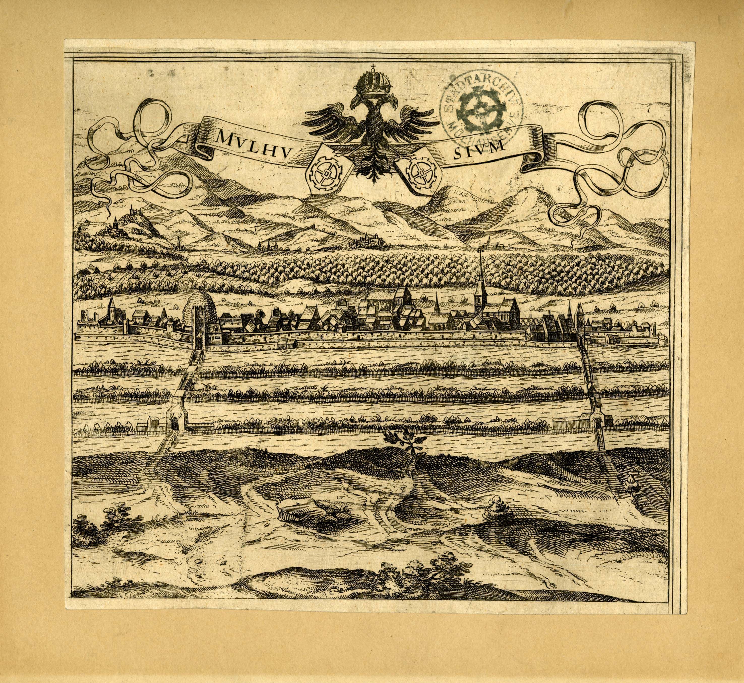 « Mulhusium »
