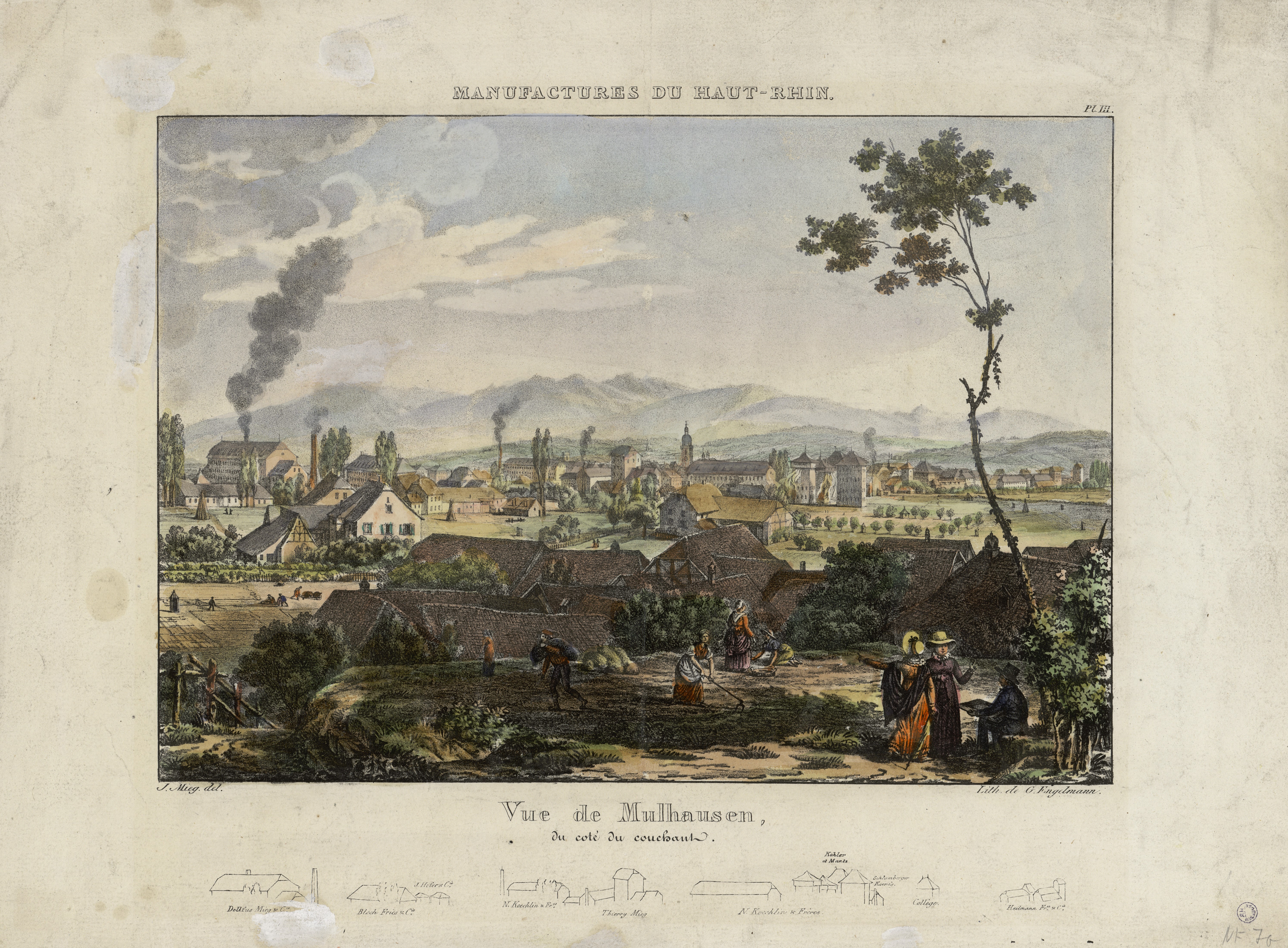 Vue de Mulhausen, du côté du couchant