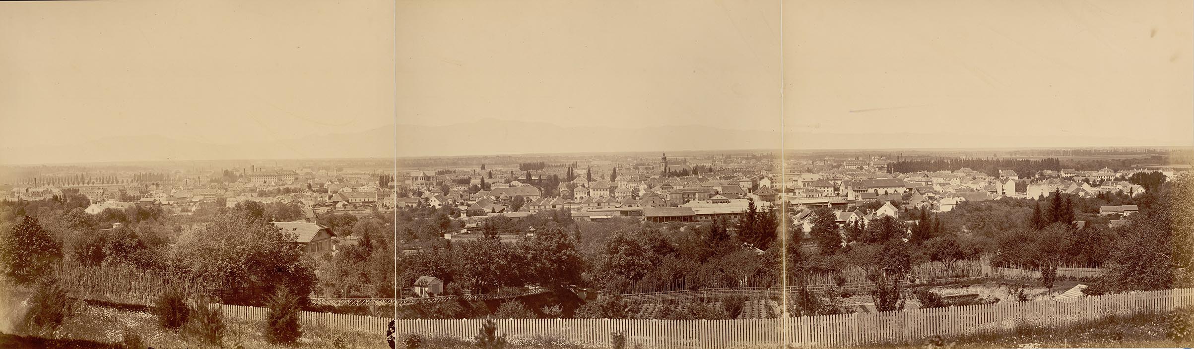 « Panorama de Mulhouse » Braun