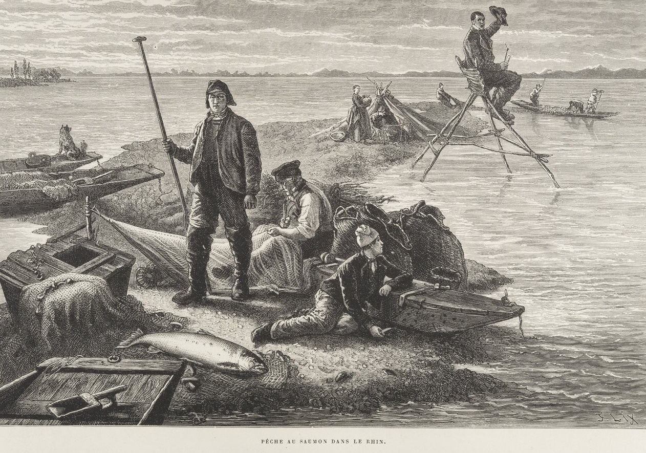 Pêche_au_saumon_dans_le_rhin